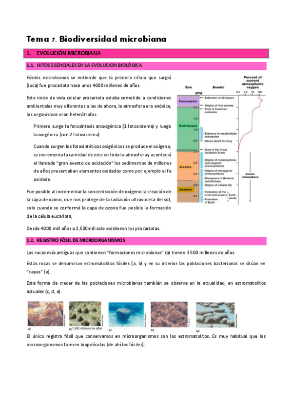 Miniatura del documento T.-7-Biodiversidad-microbiana.pdf
