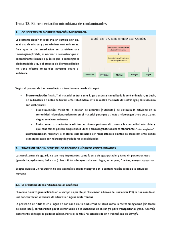 Miniatura del documento T.-13-Biorremediacion-microbiana-de-contaminantes.pdf