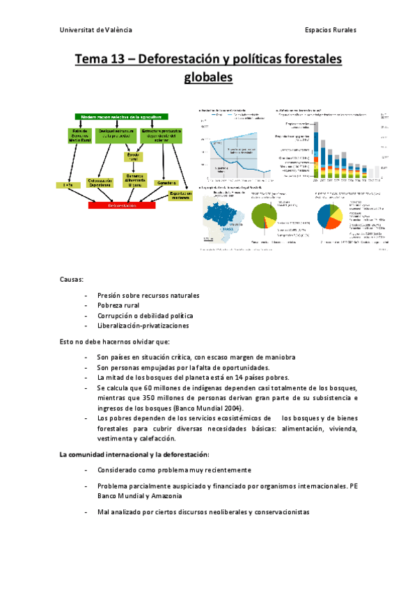 Miniatura del documento Tema-13.pdf