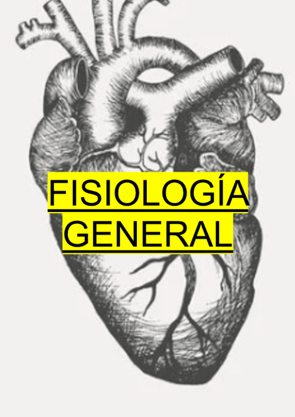 Miniatura del documento BLOQUE-V-VI.pdf