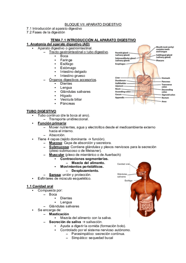 Miniatura del documento Bloque VII, VIII Y IX.pdf