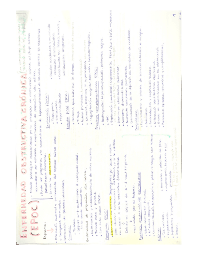 Miniatura del documento EPOC.pdf