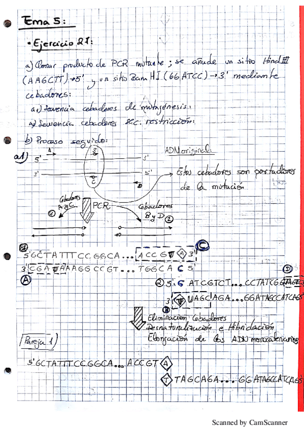 Miniatura del documento Tema 5-8.pdf
