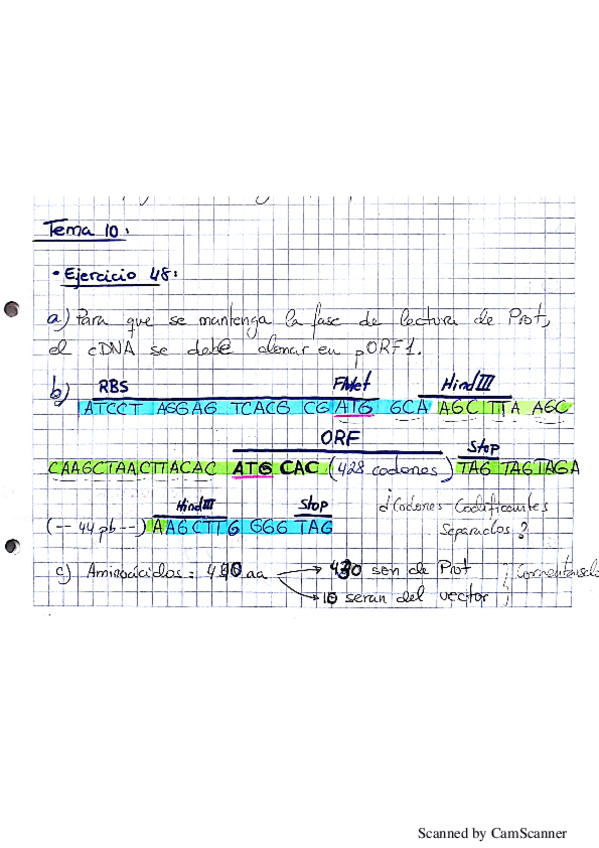 Miniatura del documento Tema 10.pdf
