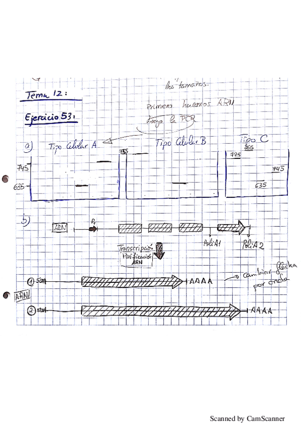 Miniatura del documento Tema 12.pdf