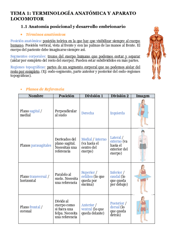 Miniatura del documento Locomotor-T1T2T3T4.pdf