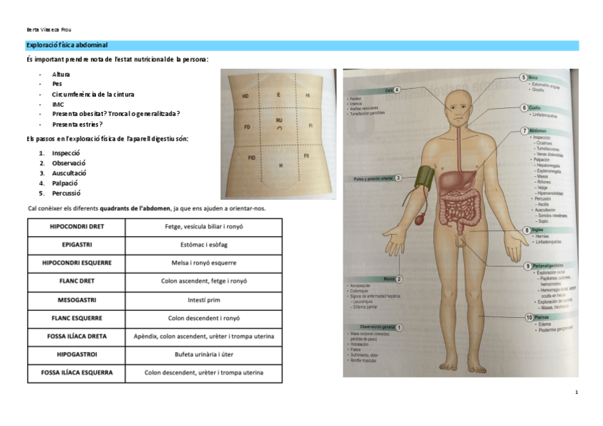 Miniatura del documento Exploracio-fisica-abdominal.pdf
