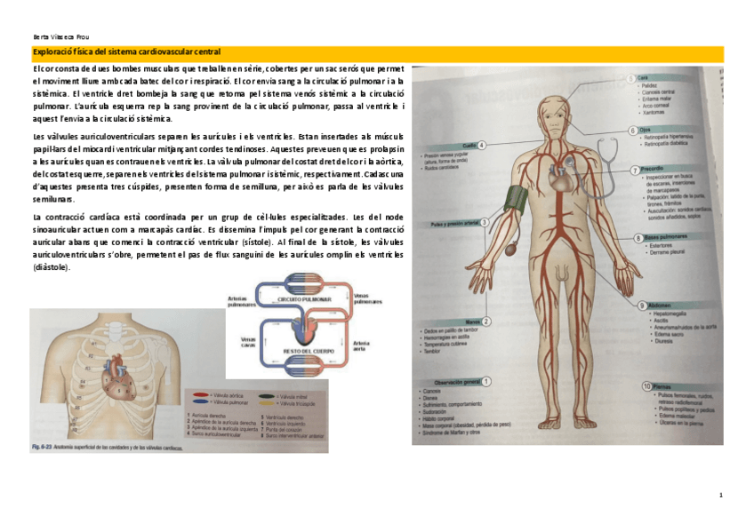 Miniatura del documento Exploracio-fisica-del-sistema-cardiovascular.pdf