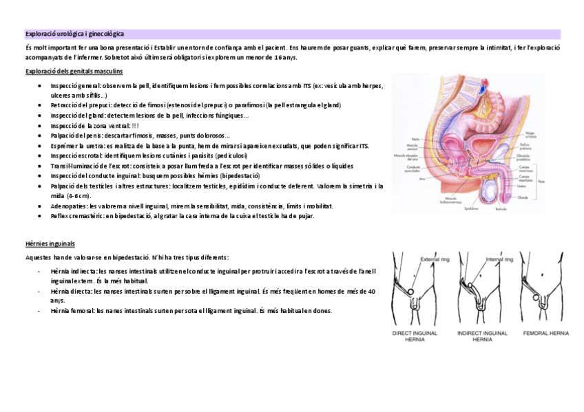 Miniatura del documento Exploracio-urologica-i-ginecologica.pdf