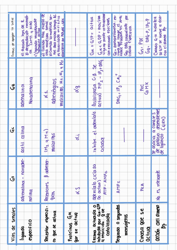 Miniatura del documento Vias.pdf