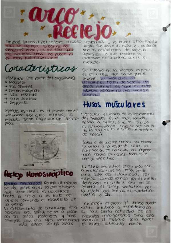 Miniatura del documento Arco-reflejo.pdf
