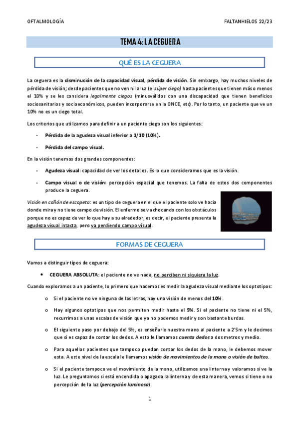 Miniatura del documento 4.-La-ceguera.pdf