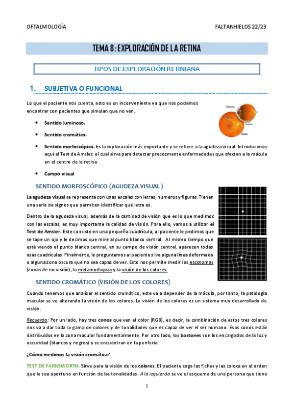 Miniatura del documento 8.-Exploracion-de-la-retina.pdf