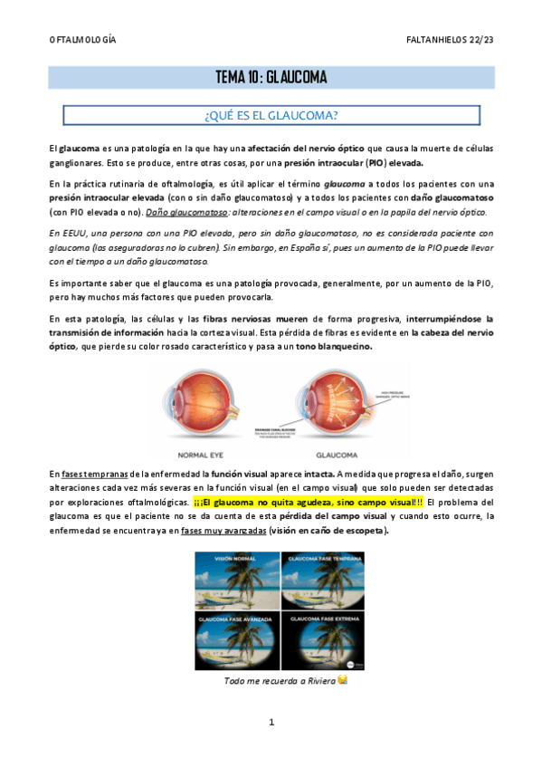 Miniatura del documento 10.-Glaucoma.pdf