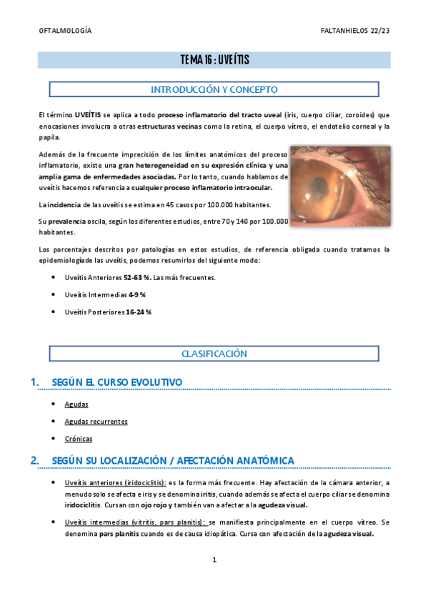 Miniatura del documento 16.-Uveitis.pdf