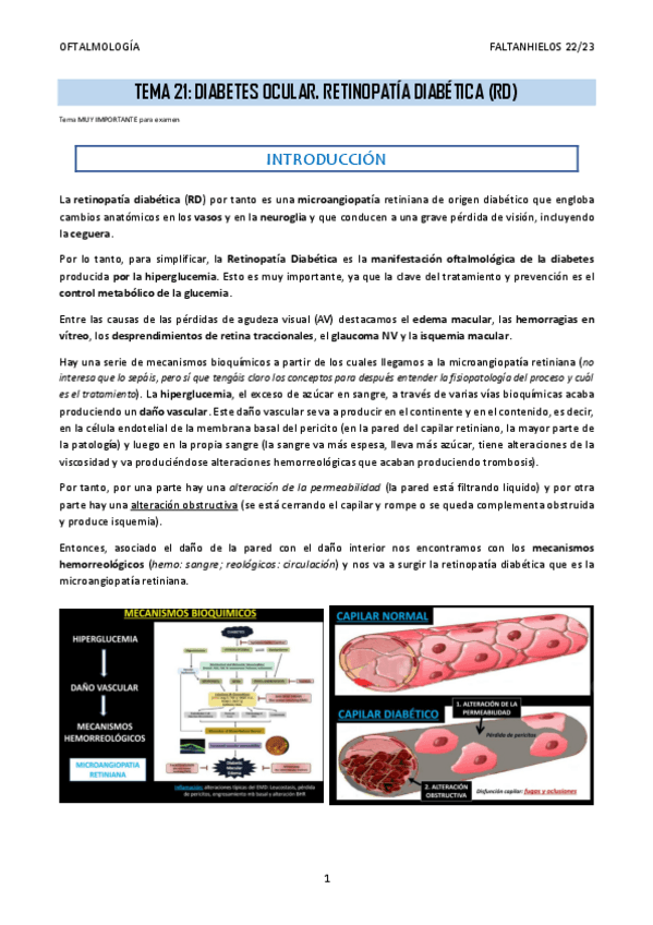 Miniatura del documento 21.-Diabetes-ocular.-Retinopatia-diabetica.pdf