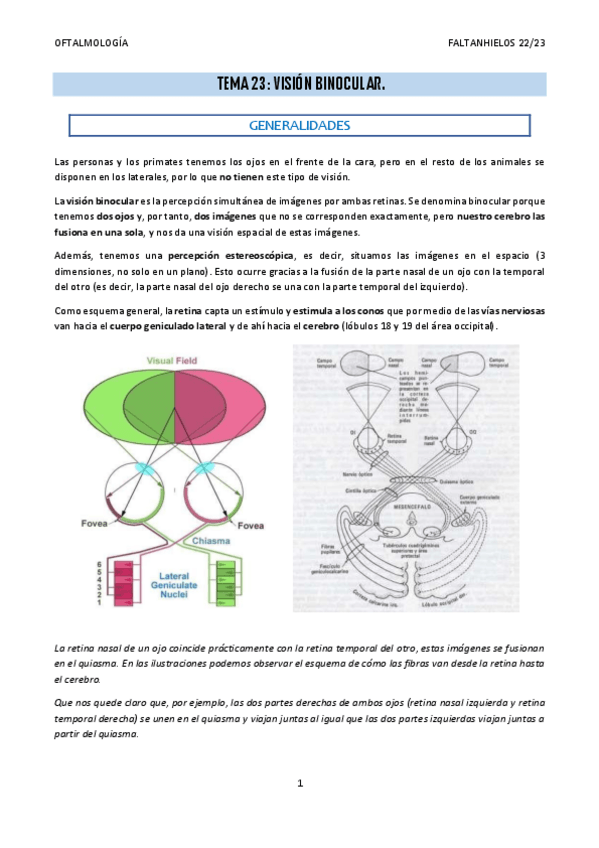 Miniatura del documento 23.-Vision-binocular.pdf