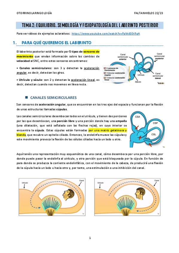 Miniatura del documento 2.-Equilibrio.-Semiologia-y-fisiopatologia-del-laberinto-posterior.pdf