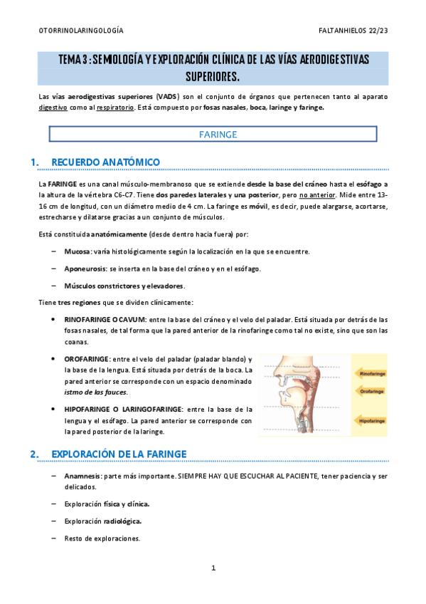 Miniatura del documento 3.-Semiologia-y-exploracion-clinica-de-las-vias-aerodigestivas-superiores.pdf