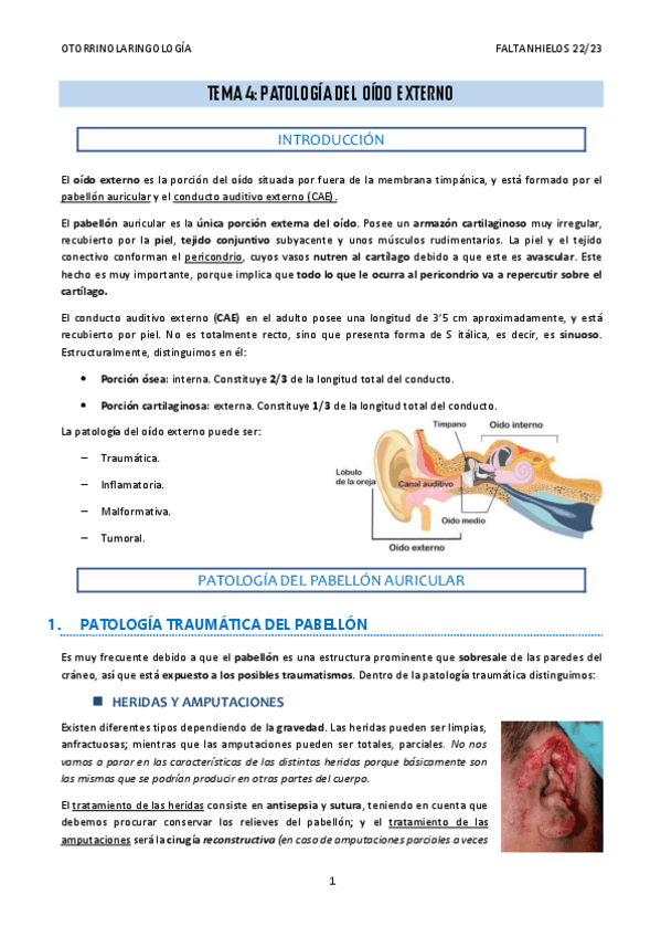 Miniatura del documento 4.-Patologia-del-oido-externo.pdf