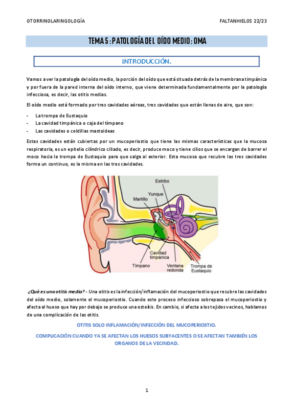 Miniatura del documento 5.-Patologia-del-oido-medio.pdf