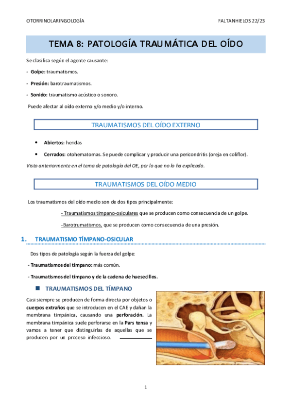 Miniatura del documento 8.-Patologia-traumatica-del-oido.pdf