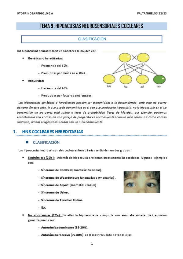 Miniatura del documento 9.-Hipoacusias-neurosensoriales-cocleares.pdf