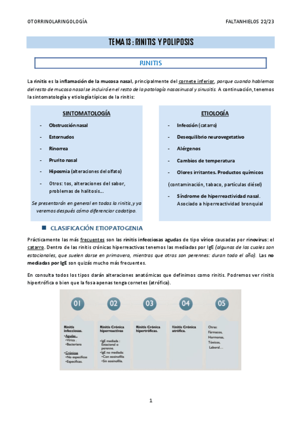 Miniatura del documento 13.-Rinitis-y-poliposis.pdf