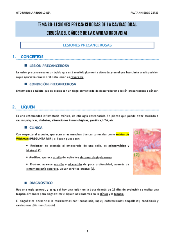 Miniatura del documento 30.-Lesiones-precancerosas-de-la-cavidad-oral.-Cirugia-del-cancer-de-la-cavidad-orofacial.pdf