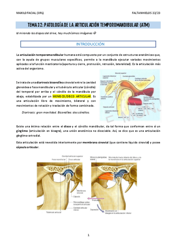 Miniatura del documento 32.-Patologia-de-la-articulacion-temporomandibular.pdf