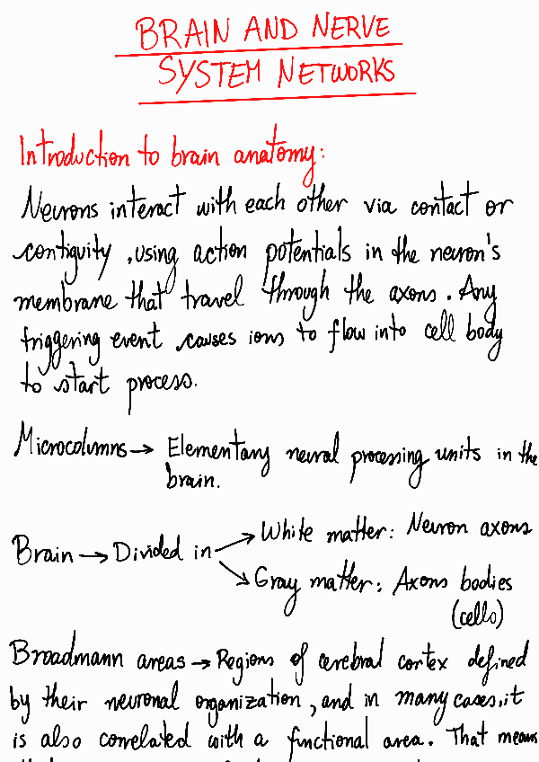 Miniatura del documento 10-Brain-and-nerve-system-networks230514111345.pdf