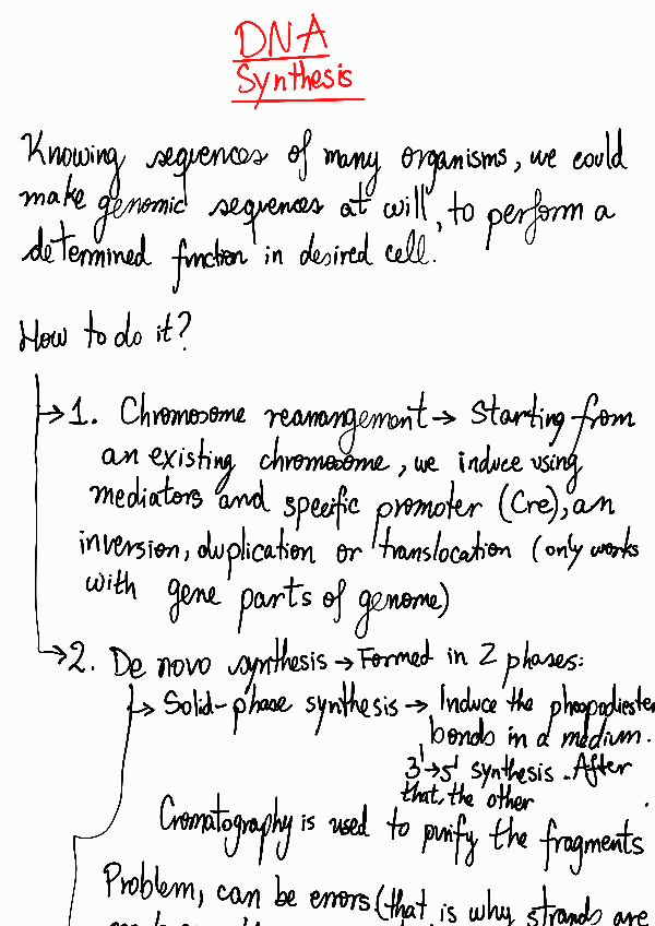 Miniatura del documento 14-Dna-synthesis230528112906.pdf