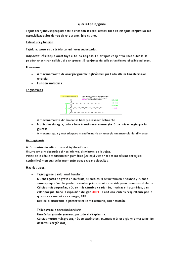 Miniatura del documento Tema-3-Adiposo.pdf