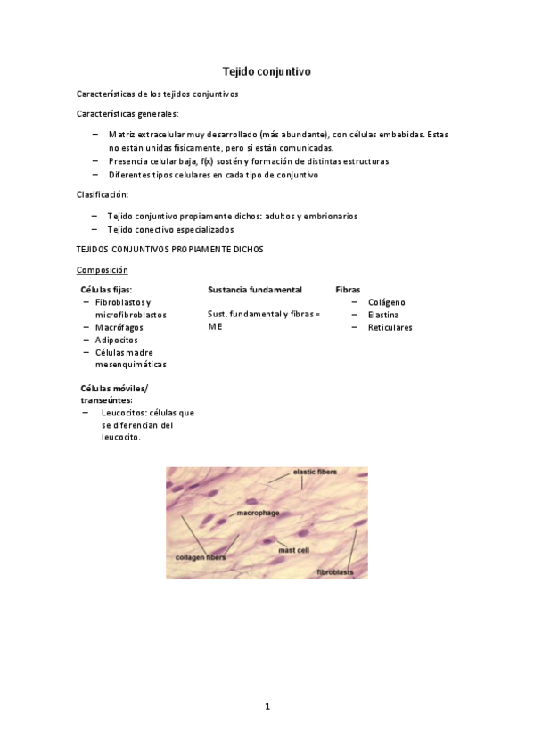 Miniatura del documento Tema-2-Conjuntivo.pdf