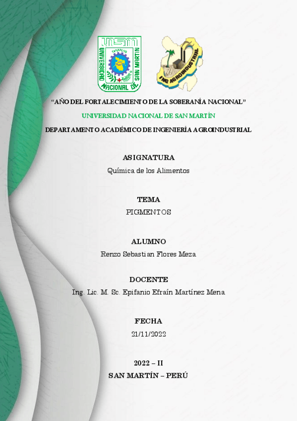 Miniatura del documento PIGMENTOS.pdf