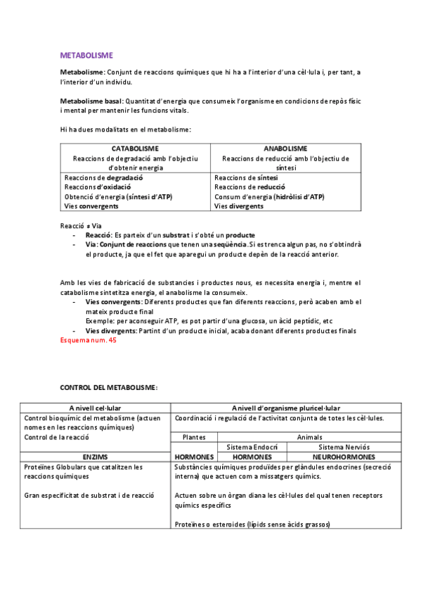 Miniatura del documento Metabolisme-1-Catabolisme.pdf