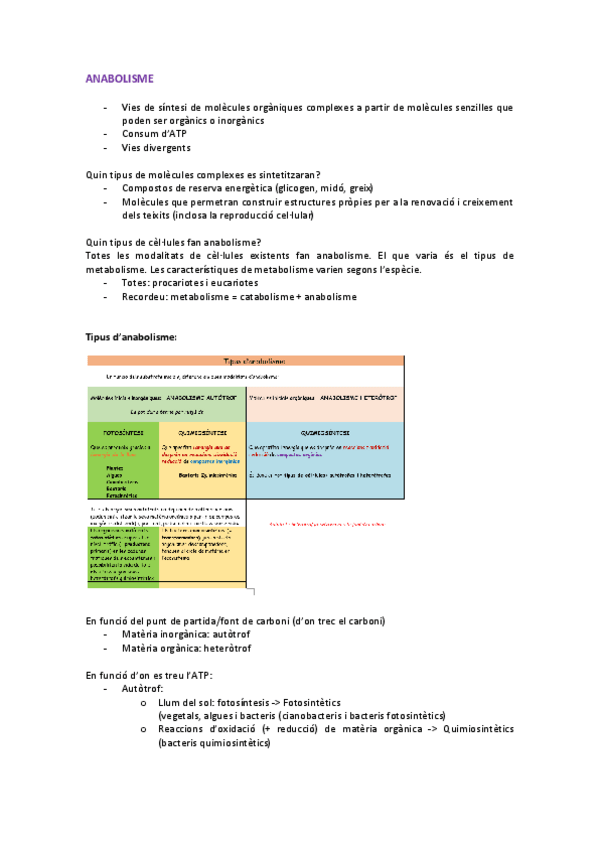 Miniatura del documento Metabolisme-2-Anabolisme.pdf