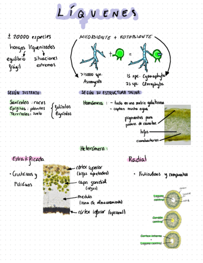 Miniatura del documento Tema-3-Botanica.pdf