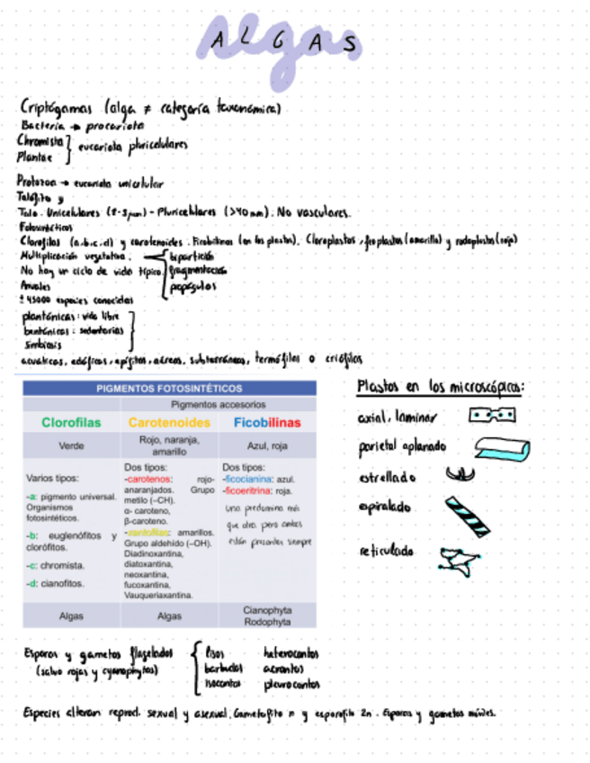 Miniatura del documento Tema-4-Botanica.pdf