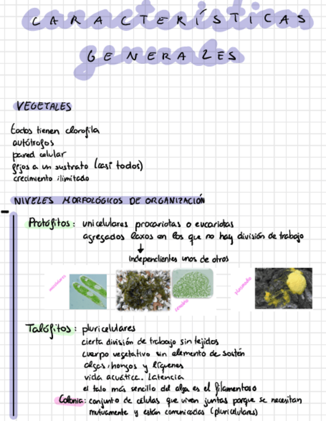 Miniatura del documento Tema-1-Botanica.pdf