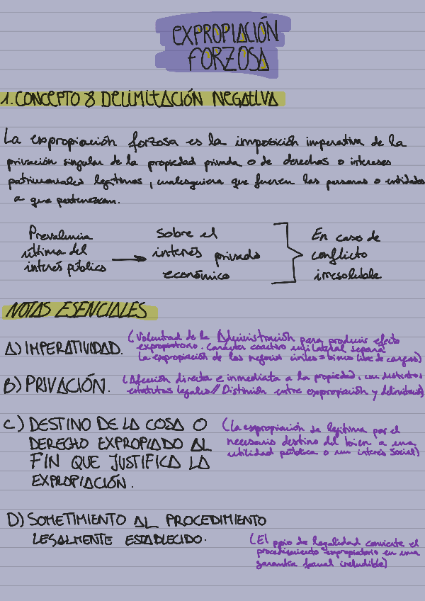 Miniatura del documento Expropiacion-Forzosa.pdf