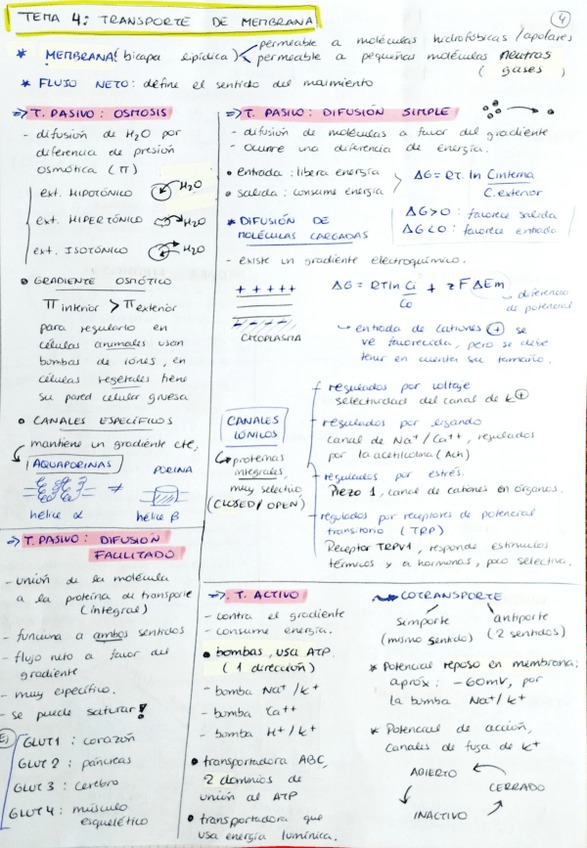 Miniatura del documento tema-456-citologia-RESUMEN.pdf