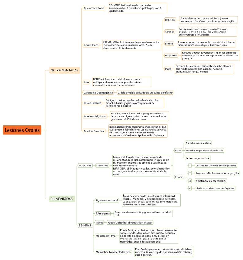 Miniatura del documento Resumen-lesiones-PIGMENTADAS-y-NO-PIG.pdf