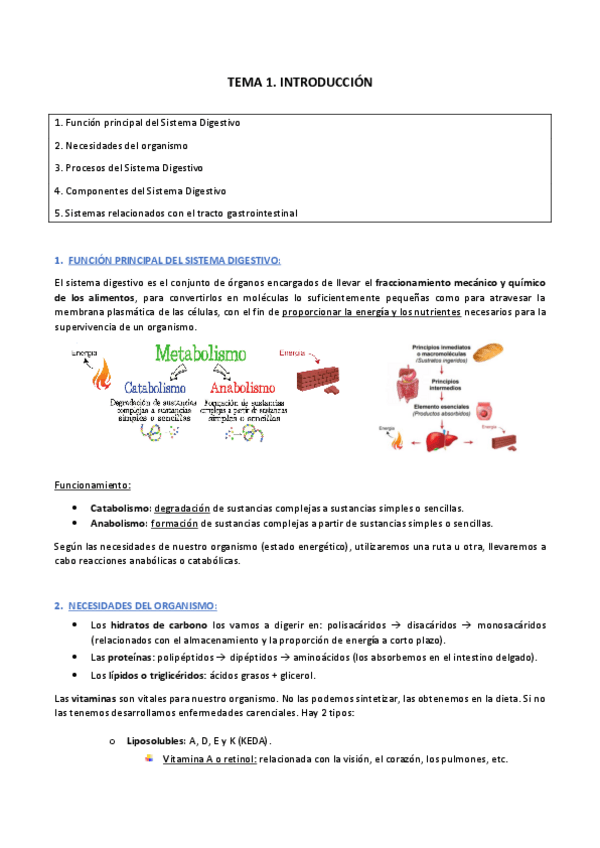 Miniatura del documento BLOQUE IV: Sistema digestivo (completo).pdf