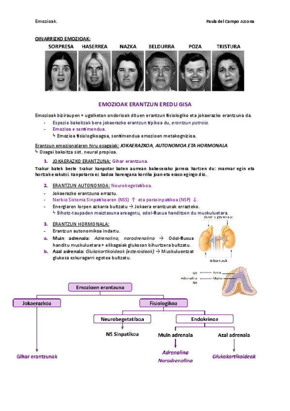 Miniatura del documento 6.-gaiaemozioak-Documentos-de-Google.pdf