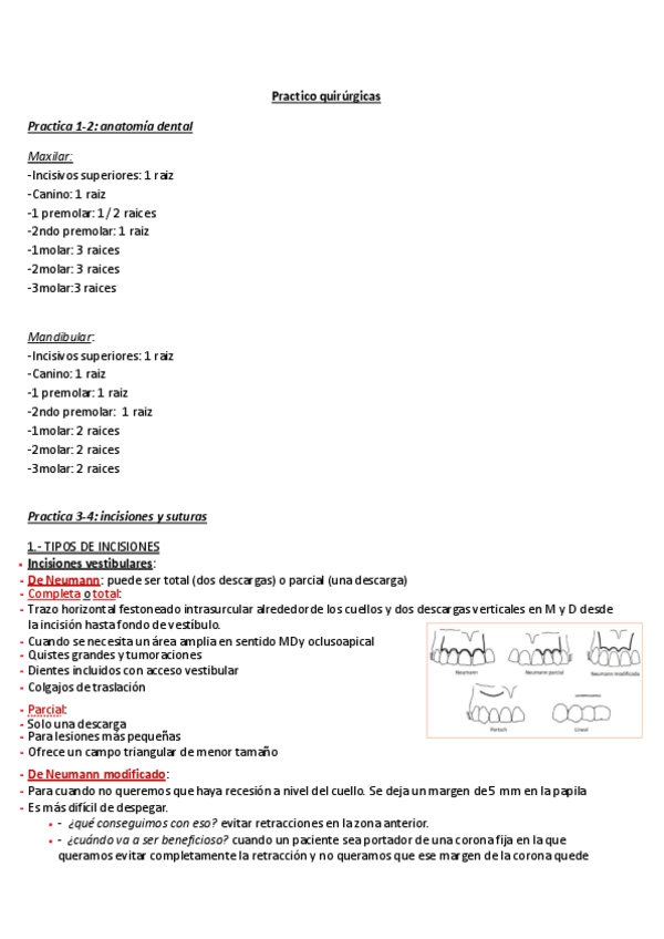 Miniatura del documento Practico-Final.pdf