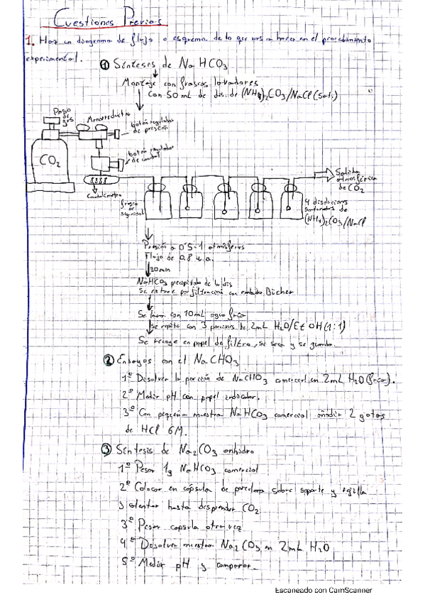Miniatura del documento P3.INORGANICA.pdf