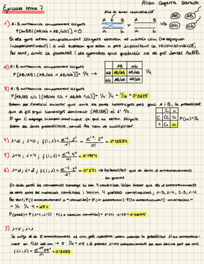 Miniatura del documento T7-ejercicios-resueltos.pdf