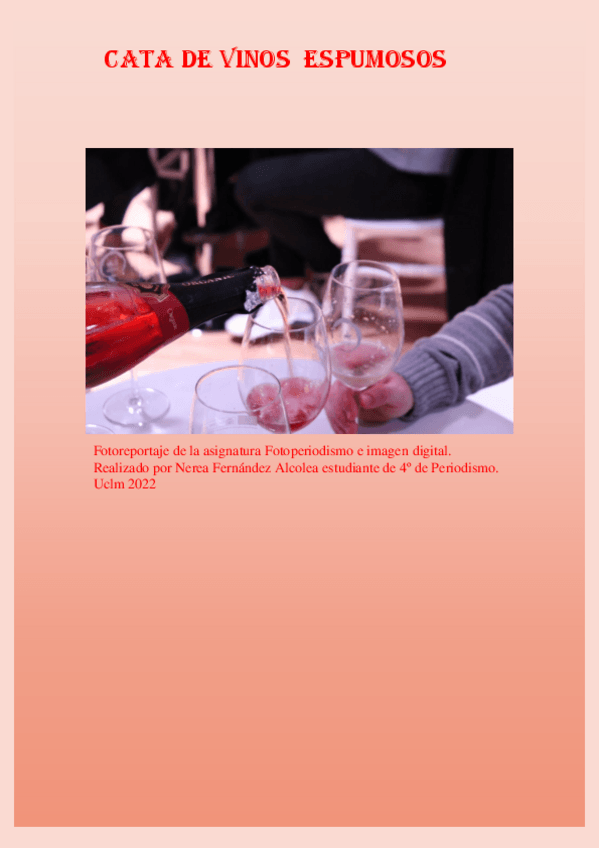 Miniatura del documento Foto-reportaje-Fernandez-Nerea.pdf