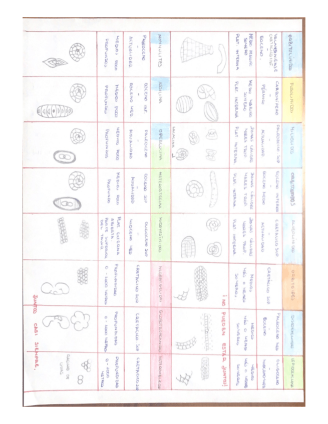 Miniatura del documento APUNTES-MICROPALEO.pdf